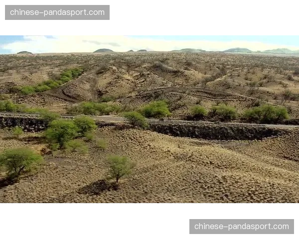 历史回顾：2018年世锦赛日本对阵荷兰经典战役纪录片将于四月上映